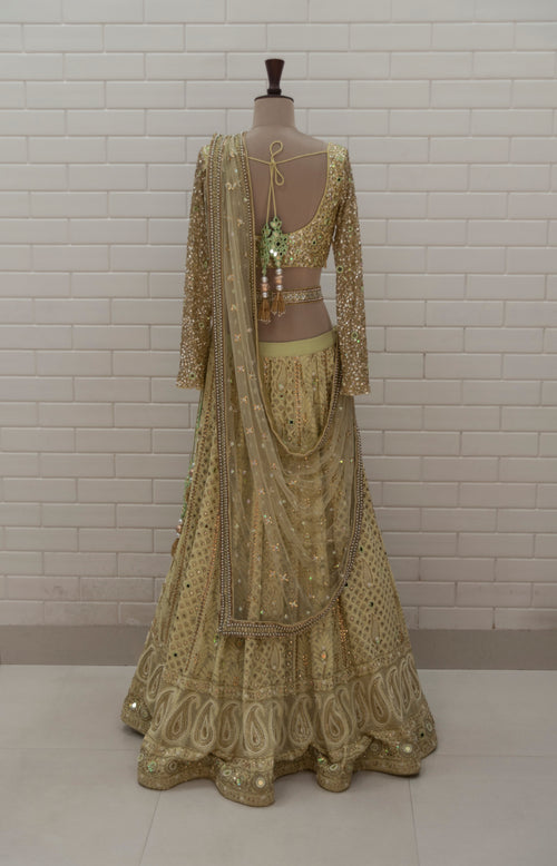 ARACELLI - Pista Green Chikankari Lehenga